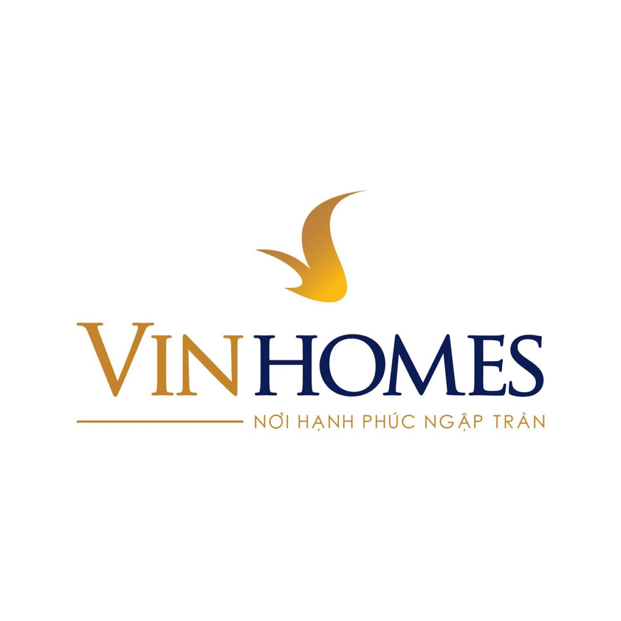 Chủ đầu Tư Vinhomes