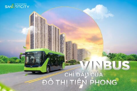 Hinh-anh-gia-ve-va-mang-luoi-tuyen-