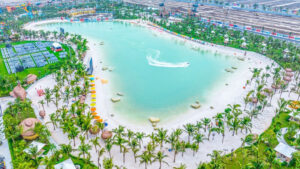 Mua Bán Chuyển Nhượng Ocean P