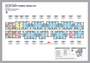 mat-bang-trang-cat