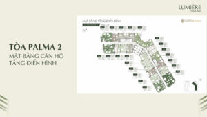 Mat-bang-layout-lumiere-orient-pearl (1)
