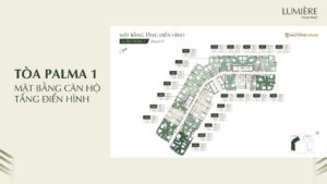 Mat-bang-layout-lumiere-orient-pearl (3)